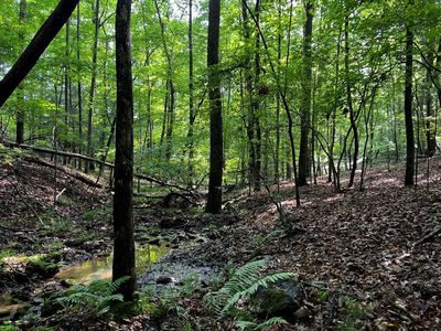 Payne Way, Blairsville, GA, 30512
