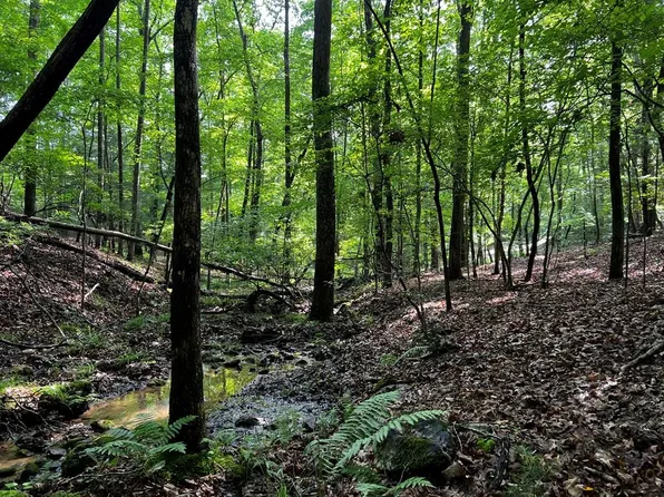 Payne Way, Blairsville, GA 30512