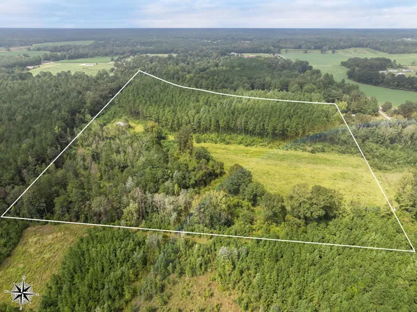 29/ACRE S Old Rifle Range Rd, Petal, MS 39465