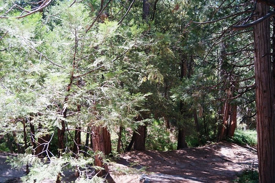 1st image of Cedar Glen Dr