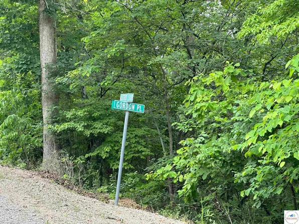 Gordon Pl, Edwards, MO 65326