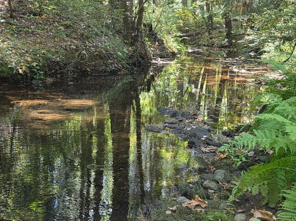 Hotchkiss Hill Rd, Georgetown, CA 95634