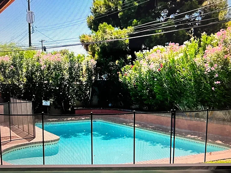 305 Norlen St — Photo 3