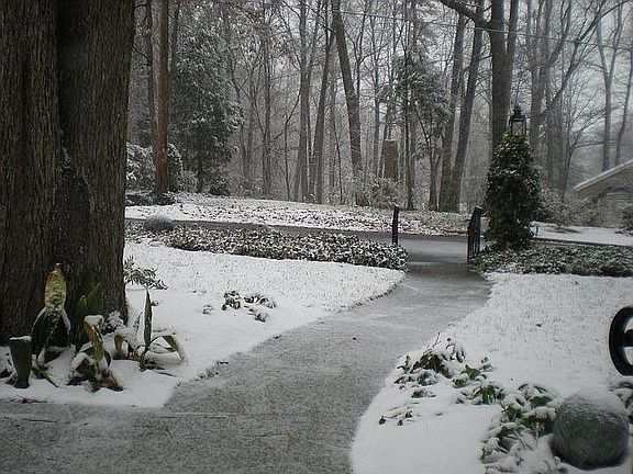 front yard view December 2010