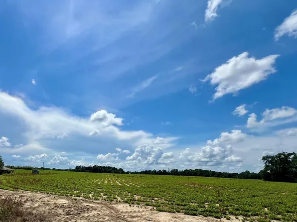 Rice Rd, Taylor, AL 36301