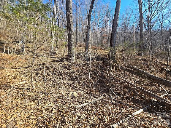 4th image of 32 Black Mountain Rd