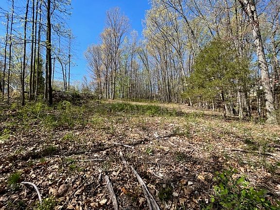 2nd image of Smalley Ln #4