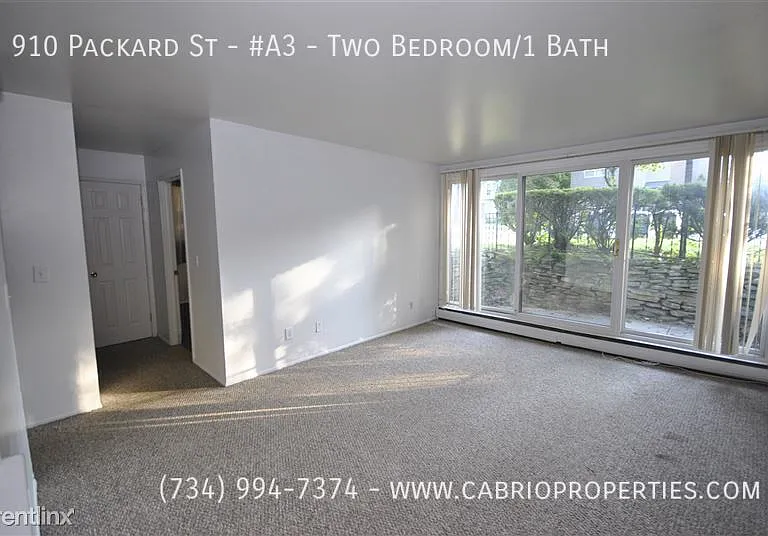 910 Packard St — Photo 19