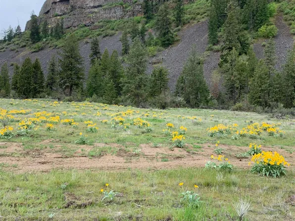 39115 Sterling Valley Rd N, Creston, WA 99147