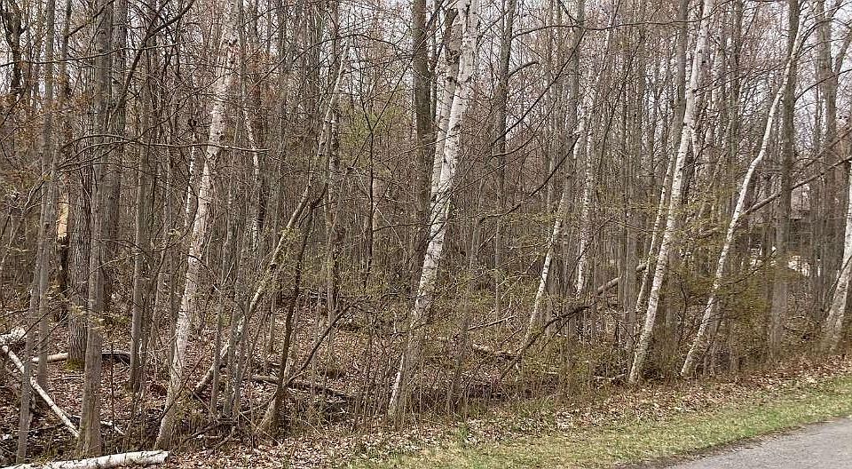 2nd image of 0 Birch