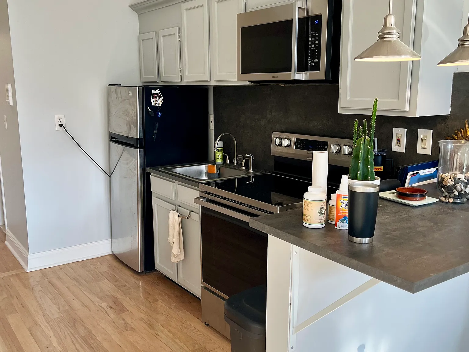 1 bed, 685 sqft, $2,550 — Photo 3