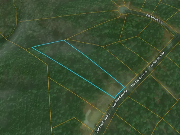 0 Flat Top Cove Rd, Gretna, VA 24557