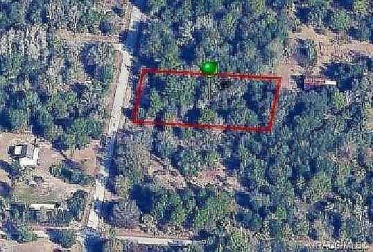 3rd image of 10031 N Dawnflower Ave