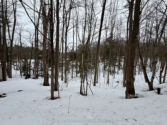 3rd image of 1007 Racoon Rd #94