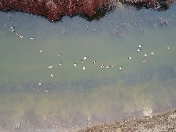 County Road 242, Wynne, AR 72396