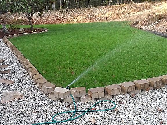Manicured yard.