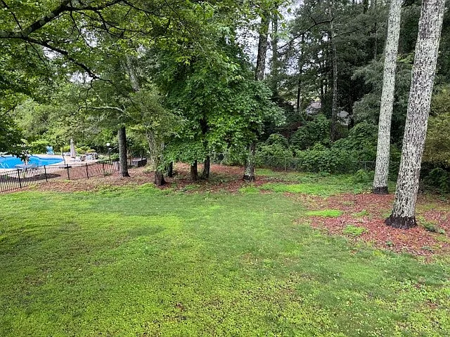 Very large fully fenced and private back yard