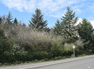163 Point Brown Ave SW, Ocean Shores, WA 98569