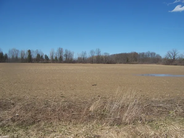 LOT 2 Beard Rd, Avoca, MI 48006