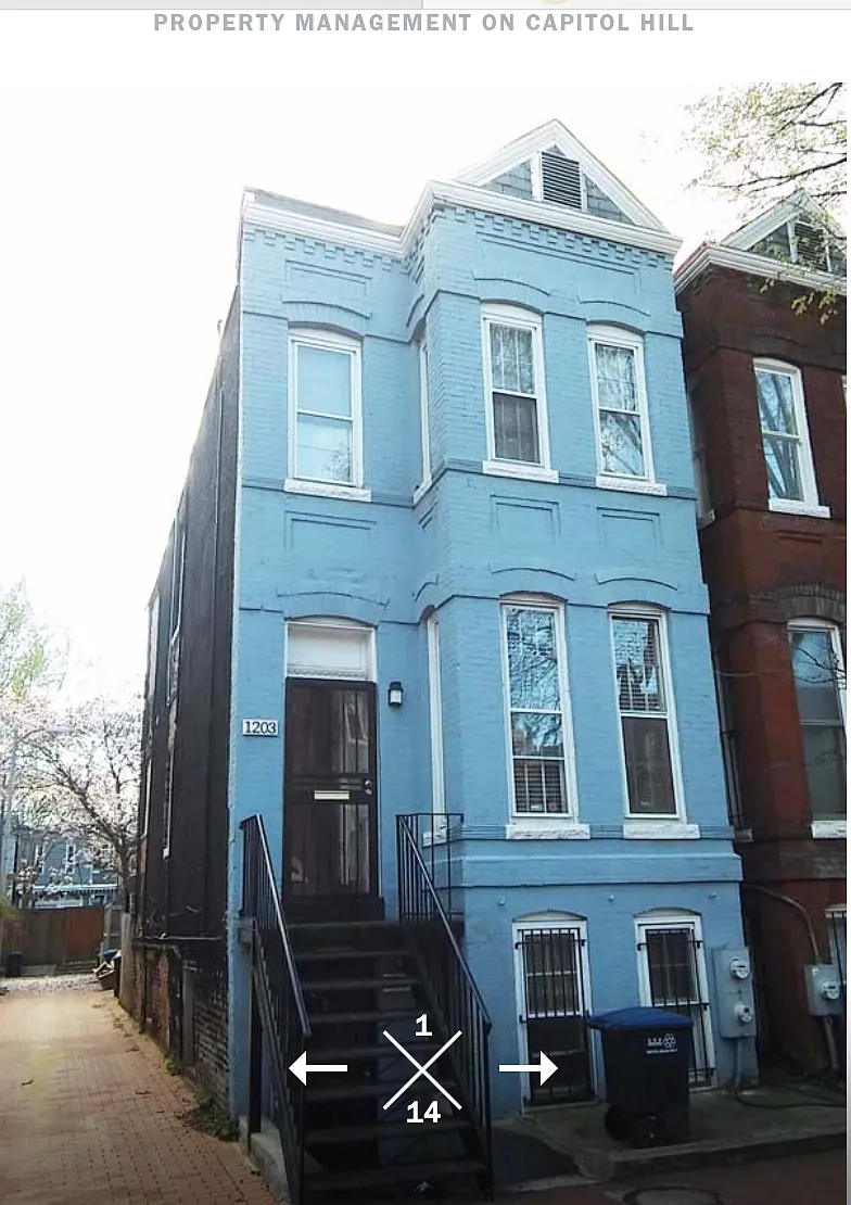 1 bed, $1,600 — Photo 1