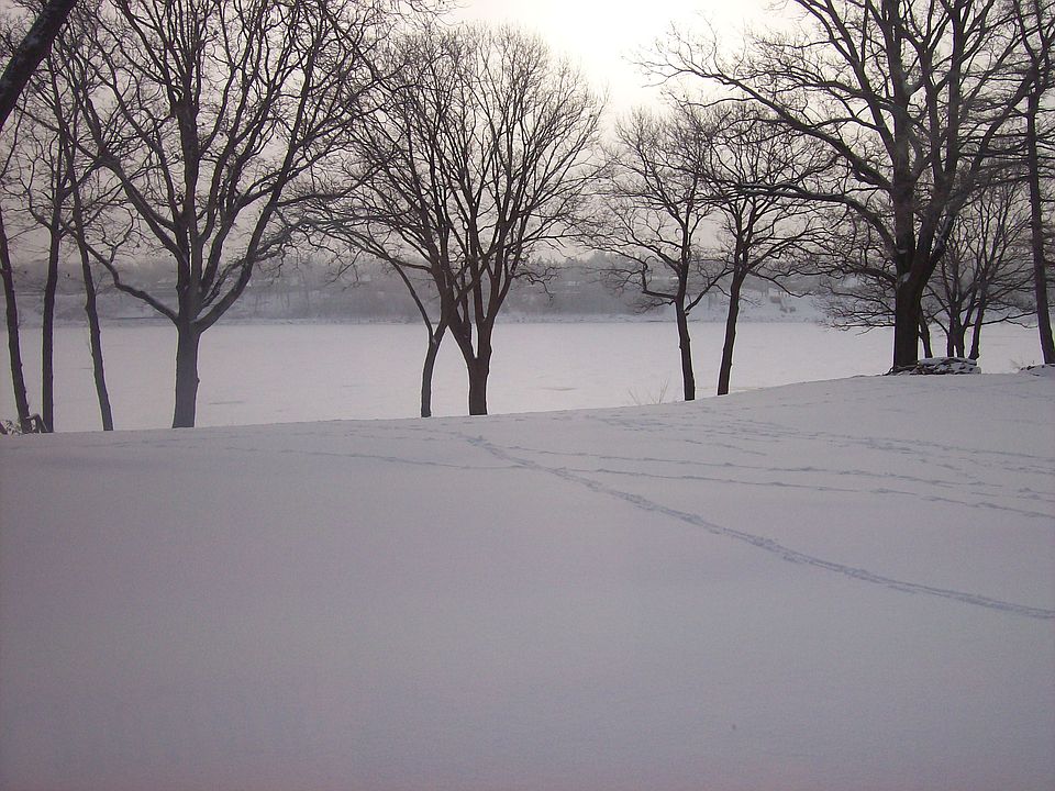 2nd image of 4433 River Rd