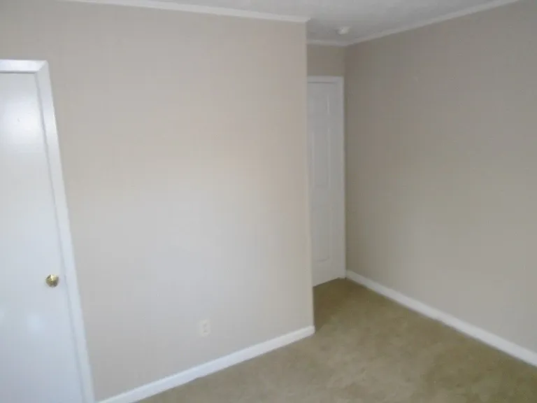 517 Albany St — Photo 20