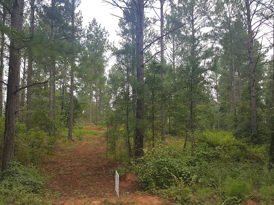 2nd image of Sandy Creek Rd #3