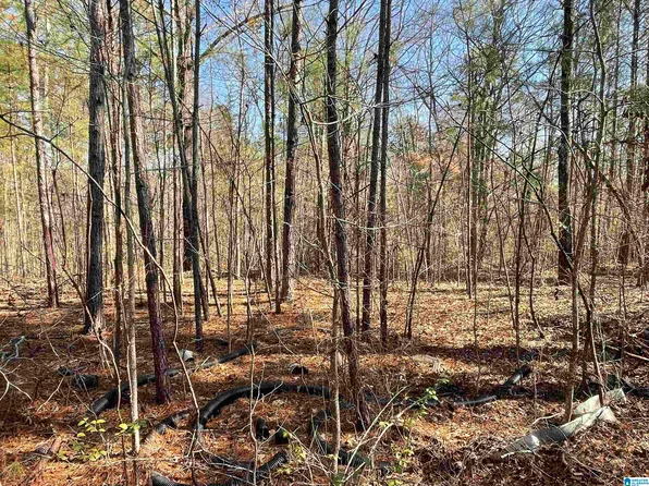0 Wilson Glen Dr #49, Wilsonville, AL 35186