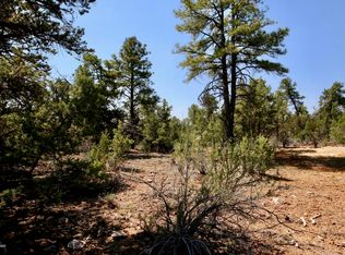 3316 Bear Hts, Heber, AZ 85928