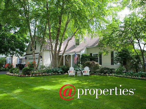 Front View in the Summer