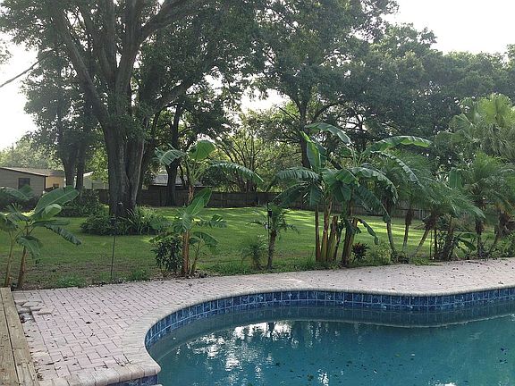 A look to the NW corner of the backyard