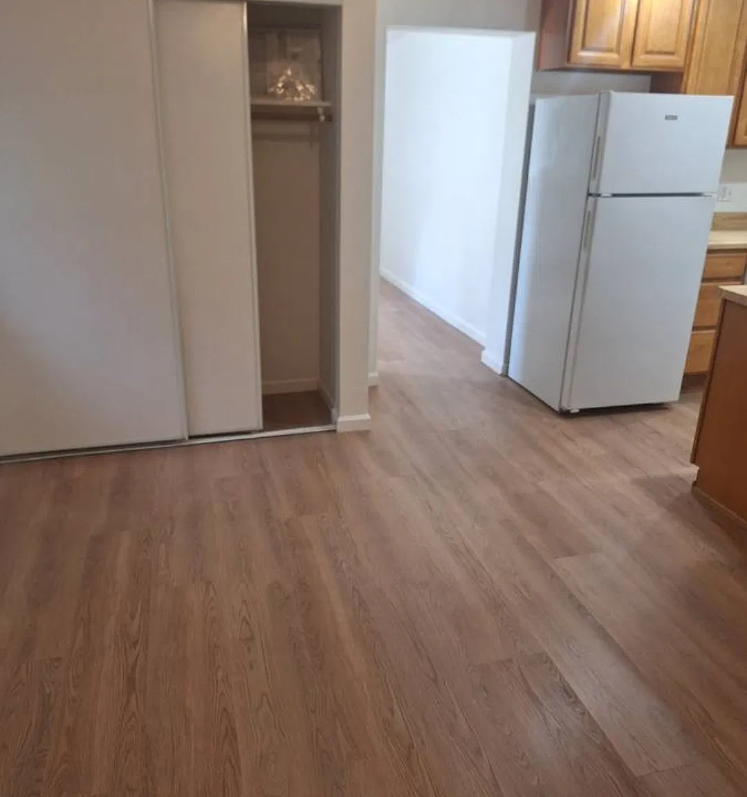1 bed, 375 sqft, $1,500 — Photo 3