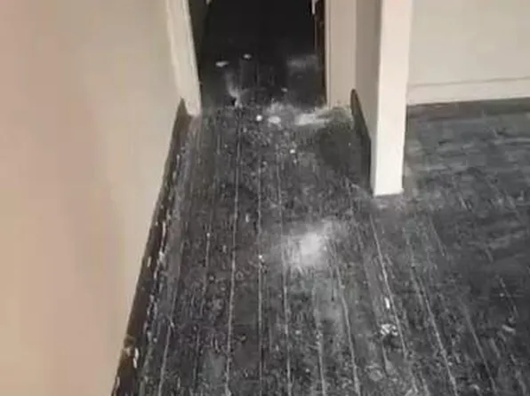 1733 McKean Ave, Baltimore, MD 21217