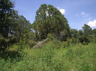 2890 W Matte Rd, Avon Park, FL 33825