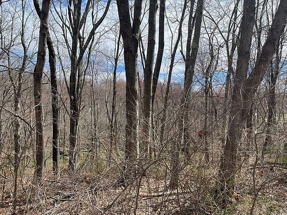 4th image of 0 Square Woods Rd