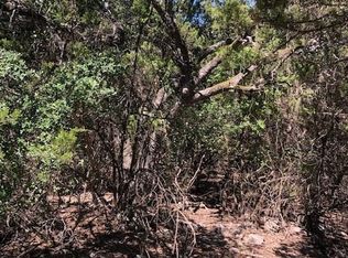 1349 Covered Wagon, Spring Branch, TX 78070