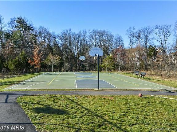 Basket Ball Court