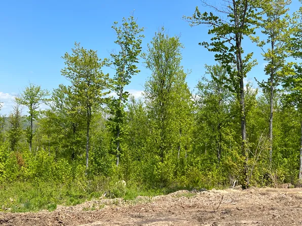 Lot 6B Harmony Row, Bethel, ME 04217