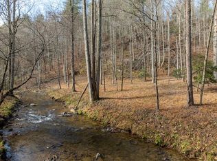 780 Banks Rd, Ellijay, GA 30540