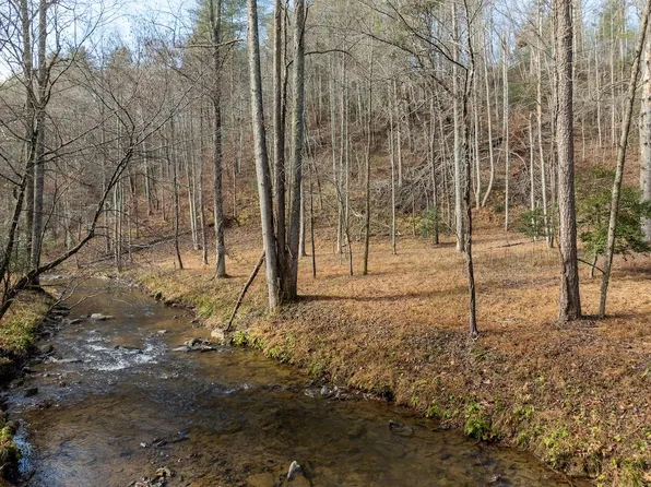 780 Banks Rd, Ellijay, GA 30540