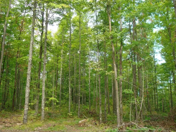 On Hwy Tract 8-2067, Crandon, WI 54520