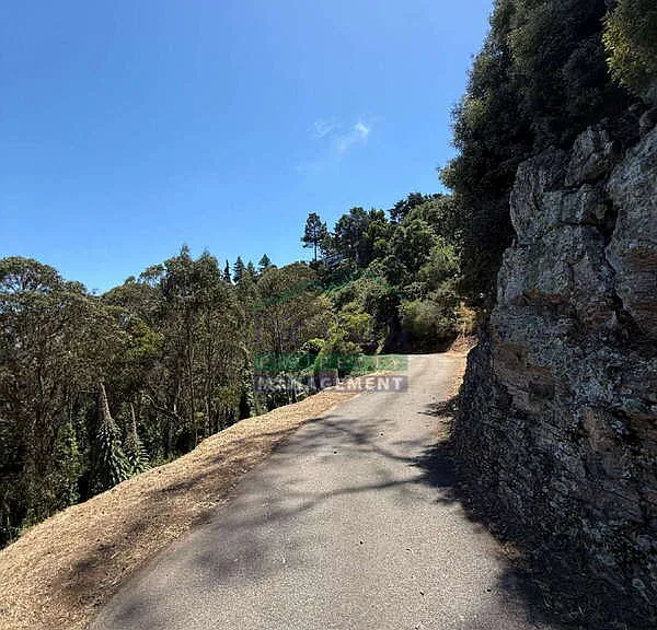 509 Cloud View Trl — Photo 31
