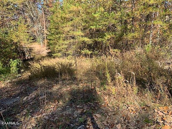 3rd image of Dogwood Dr