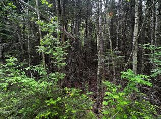 Lot 9-3 Lilly Drive, Newport, ME 04953