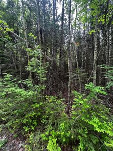 Lot 9-3 Lilly Drive, Newport, ME, 04953