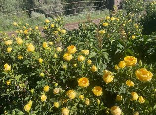 1700 Copper Spur Rd, Bond, CO 80423