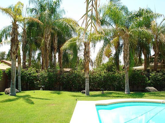 Pool/ Jacuzzi and landscaping