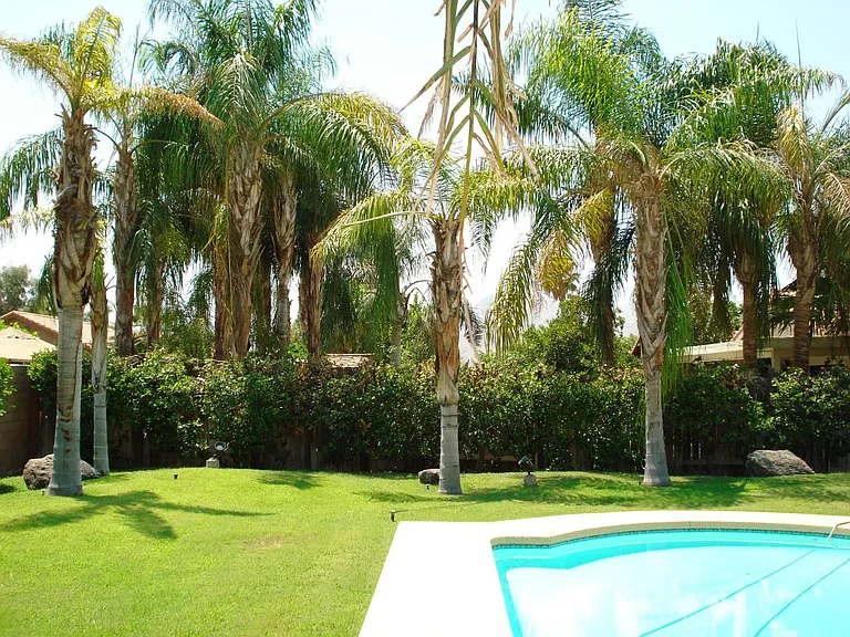 Pool/ Jacuzzi and landscaping