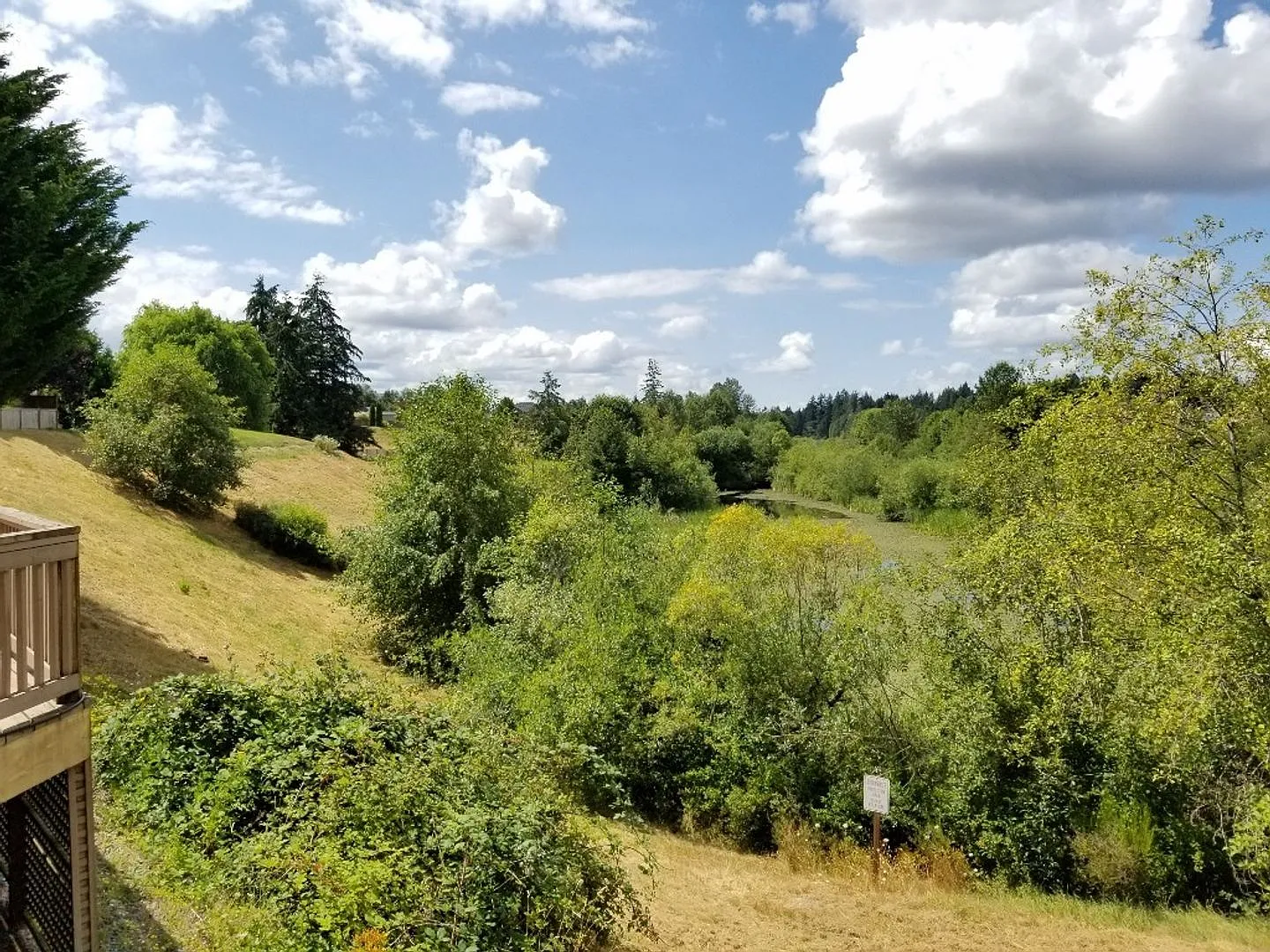 4BD Home in McAllister Park — Photo 4