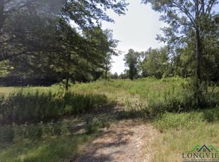 10580 State Highway 154 E, Diana, TX 75640